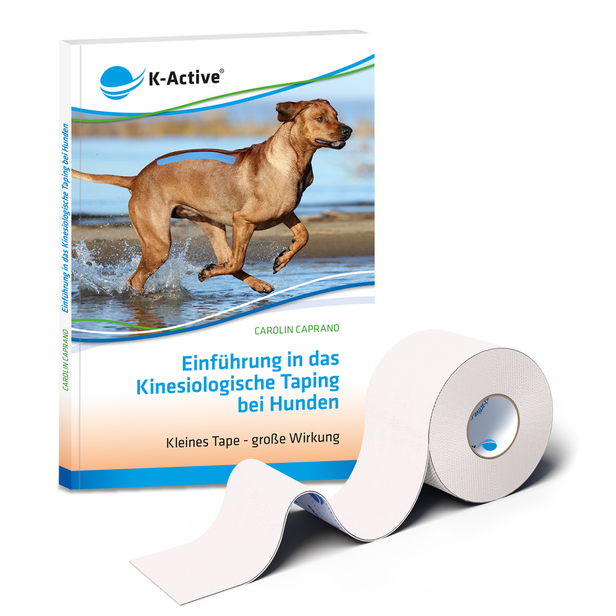Einführung in das Kinesiologische Taping bei Hunden + Tape Sport weiß