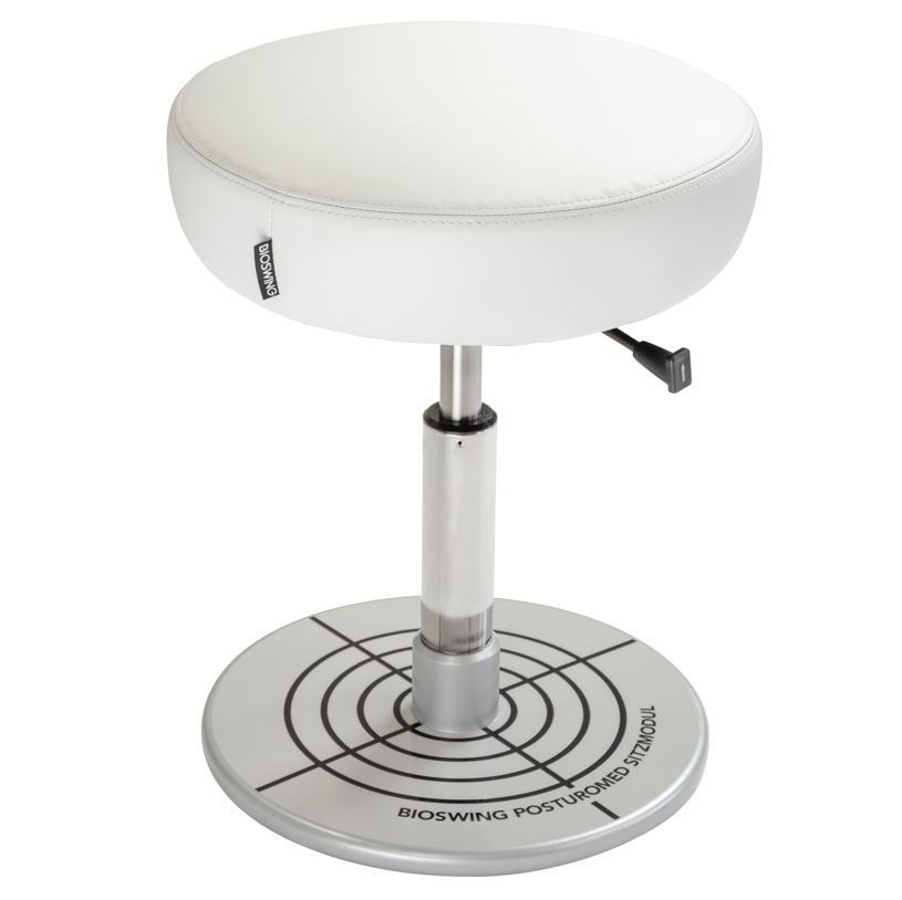 K-Active_55408_Haider_Bioswing_Sitzmodul_1 BIOSWING® Sitzmodul