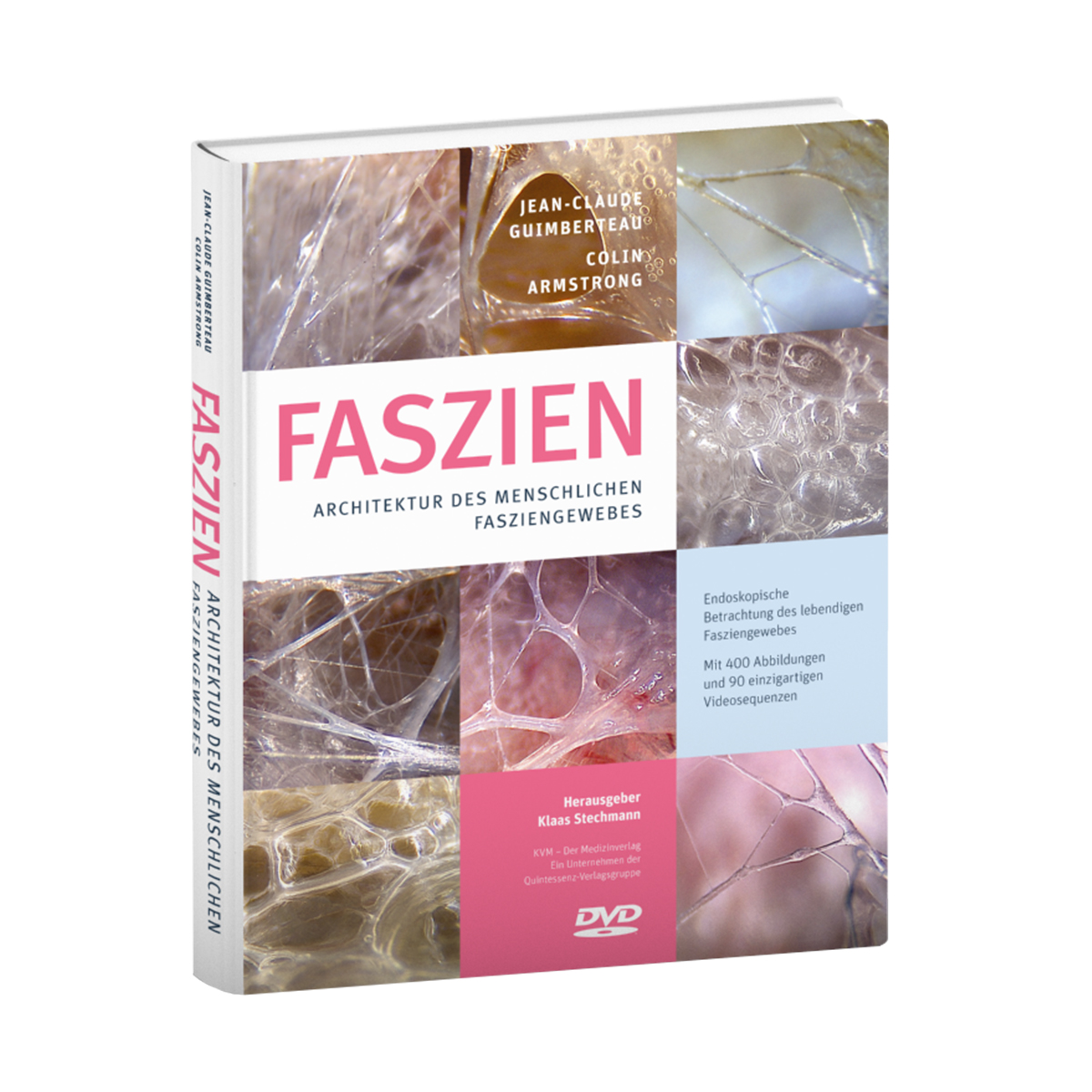 FASZIEN - Architektur des menschlichen Fasziengewebes