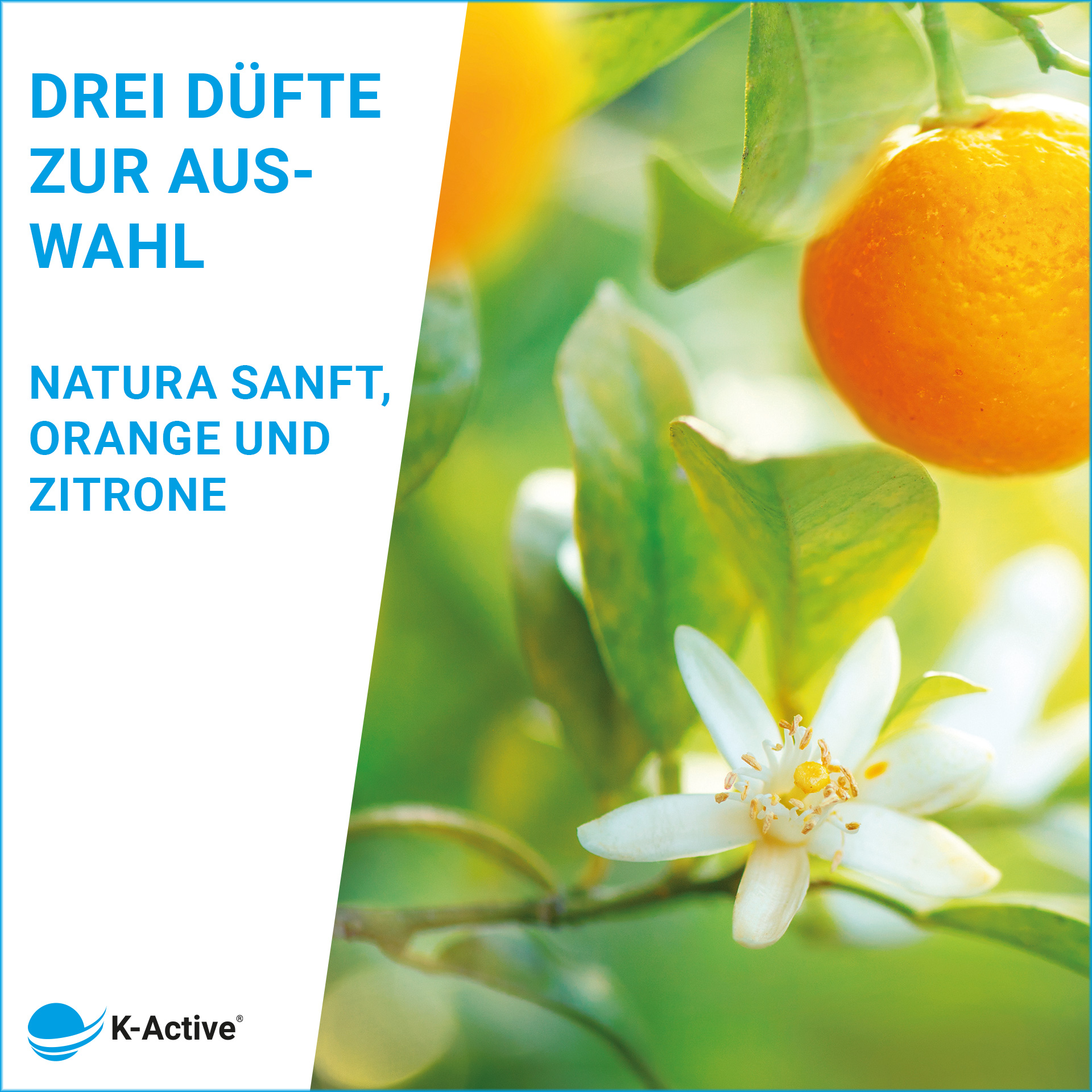 Medan Massageöl Citrus 1 Liter