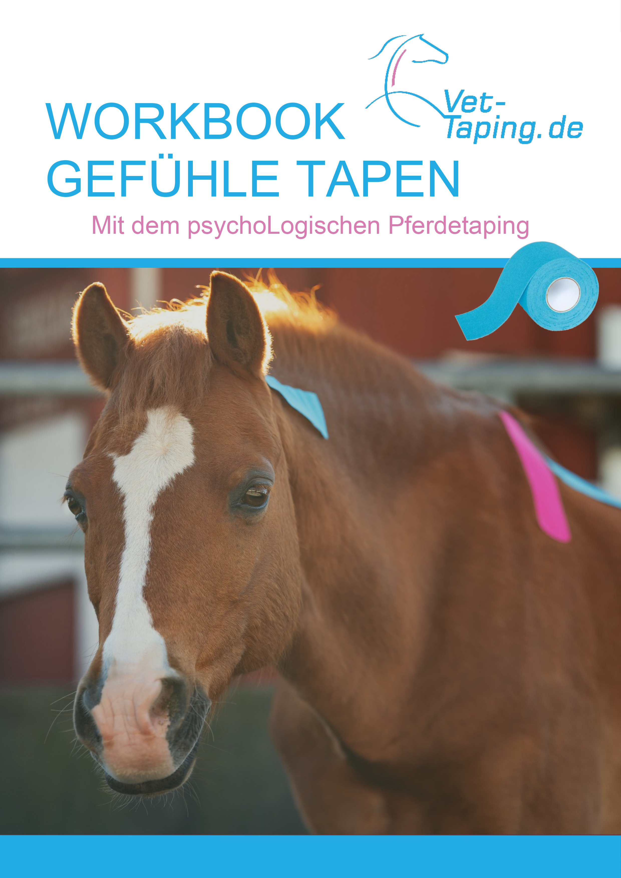 Workbook Gefühle Tapen