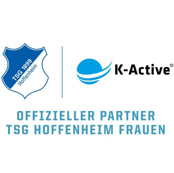 TSG Hoffenheim Logo