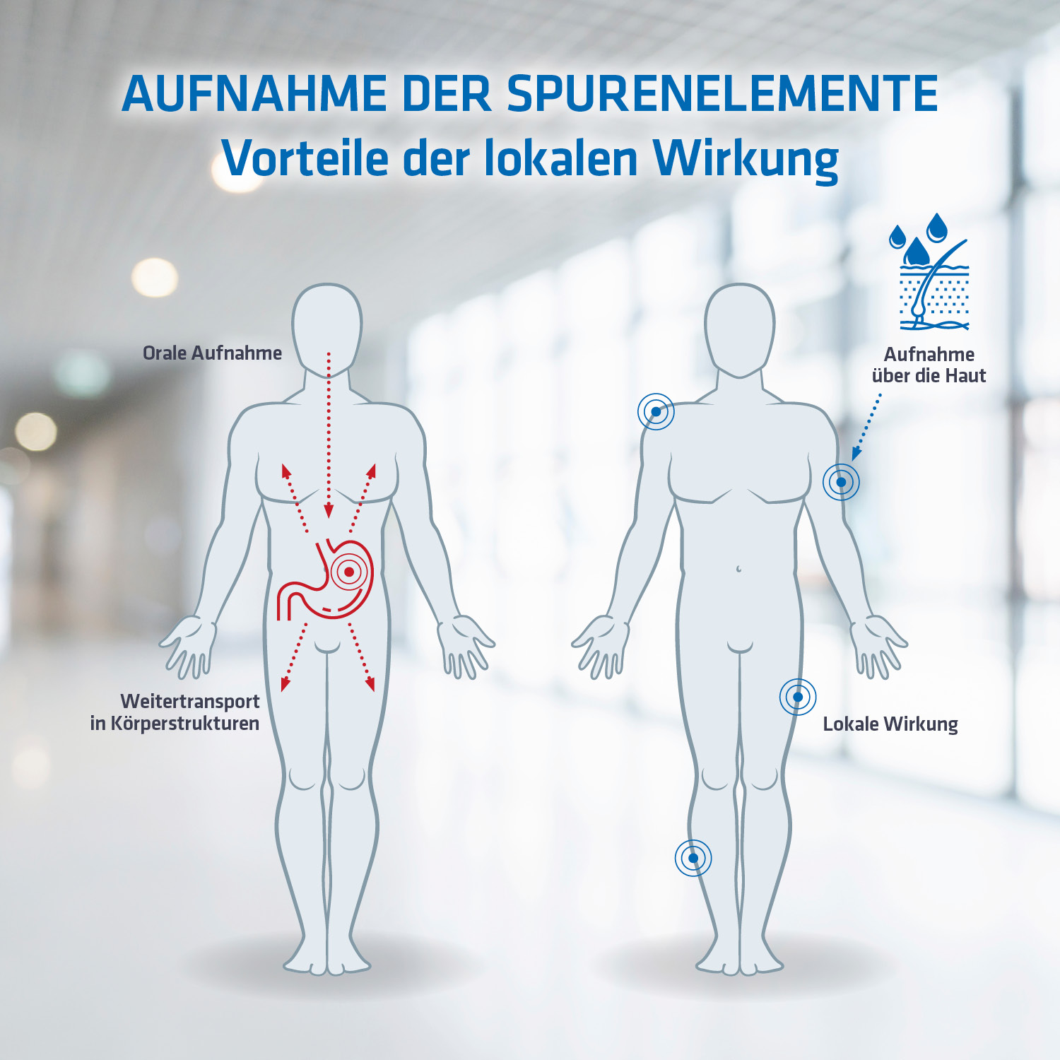 Spurenelemente lokale Wirkung