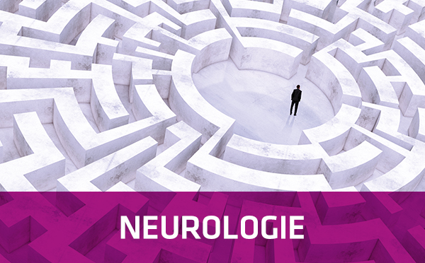 Neurologie Teaser