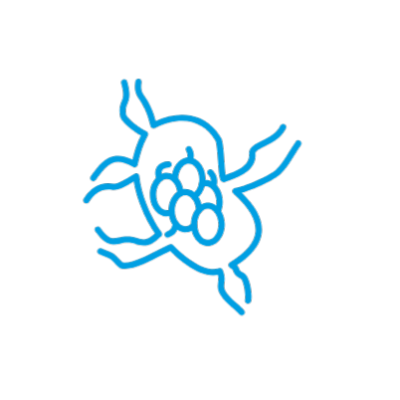 Lymphologie & Narben