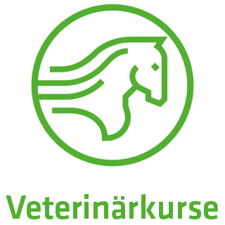 Taping für Pferde Veterinaer Icon mit Schrift
